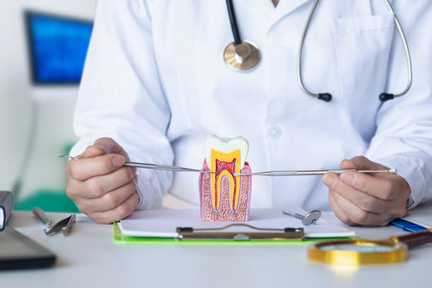 Best Emergency Orthodontic Services in Coats, NC
